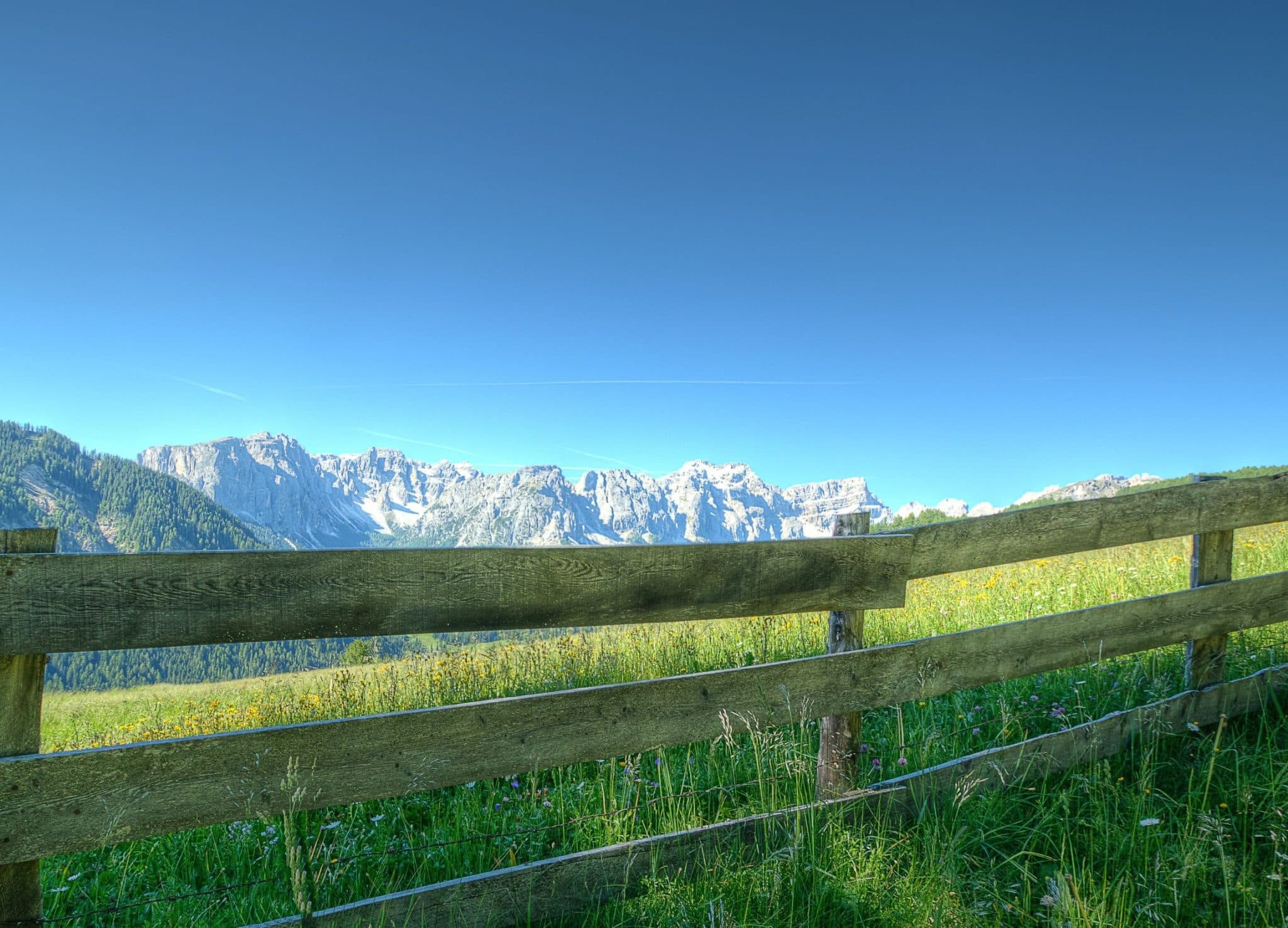 A wooden fence dividing a green field, with mountains beyond